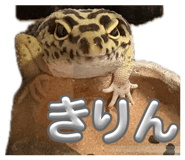 839353872