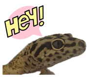 839353874