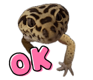 839353878