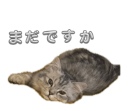 839354019
