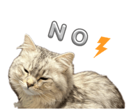 839354020