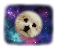 839354305