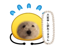 839354308