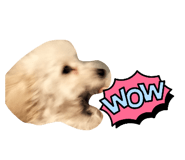 839354311