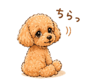 839354428