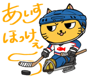 839354662