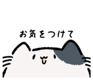 839354941
