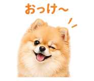 839354980