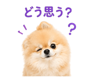 839354982