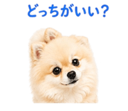 839354986