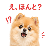839354987