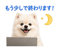 839355002
