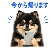 839355007