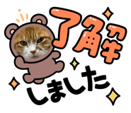 839355070