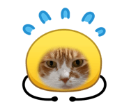 839355071