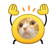 839355076