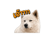 839359059