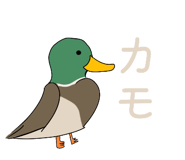 839360517