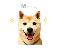 839360554