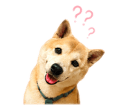 839360555