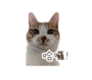 839360609