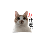 839360613