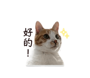 839360614