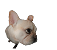 839361662