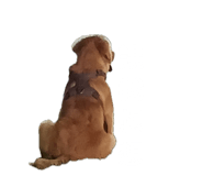 839361668