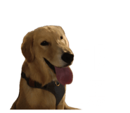 839361669