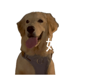 839361670