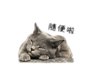 839361780