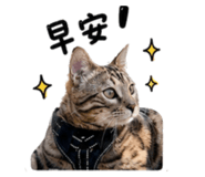 839361993