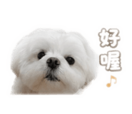 839362060