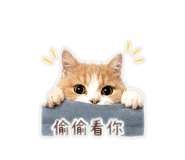839362348