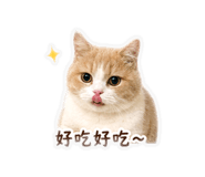839362351