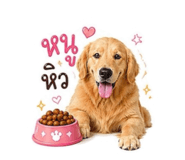 839362953