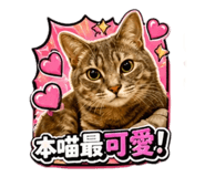 839363517