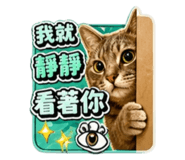 839363531