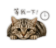 839363606