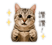 839363608