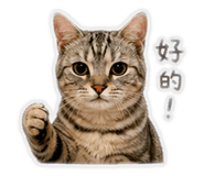 839363616