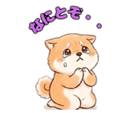 839364816