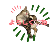 839365100