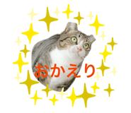 839365106