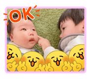 839366054