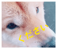 839370175