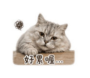 839371168
