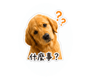 839371580