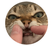839371767